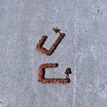 Load image into Gallery viewer, Fiesty - Rose - Samibe